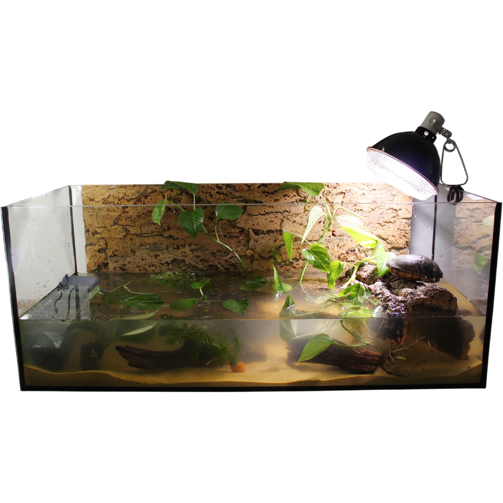 Wasserschildkröten Aquarium Set 80cm für Baby Schildkröten Beispiel 1