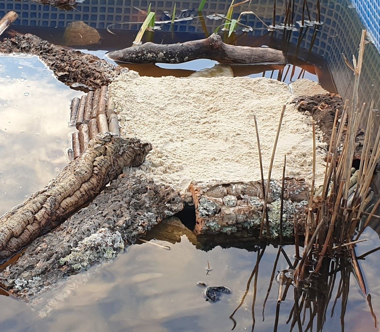 Weindebrücken für Wasserschildkröten Treppen im aussenbereich