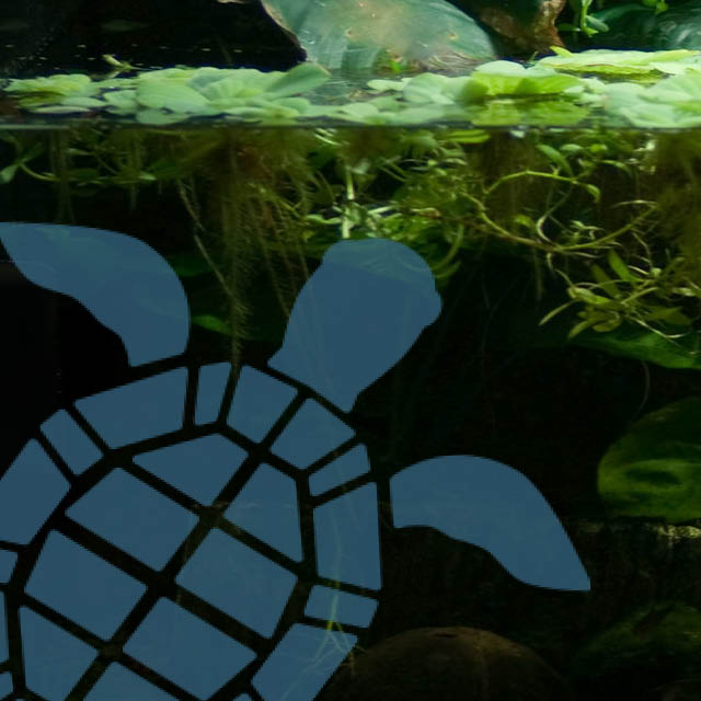 Wasserschildkröten Aquarium Konfigurator