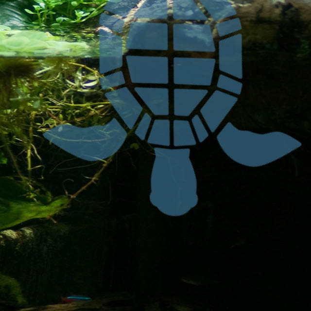 Wasserschildkröten Aquarium Set 2