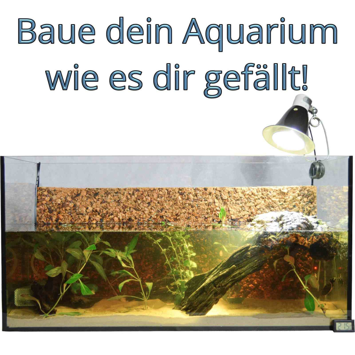 Wasserschildkröten Aquarium Konfigurator